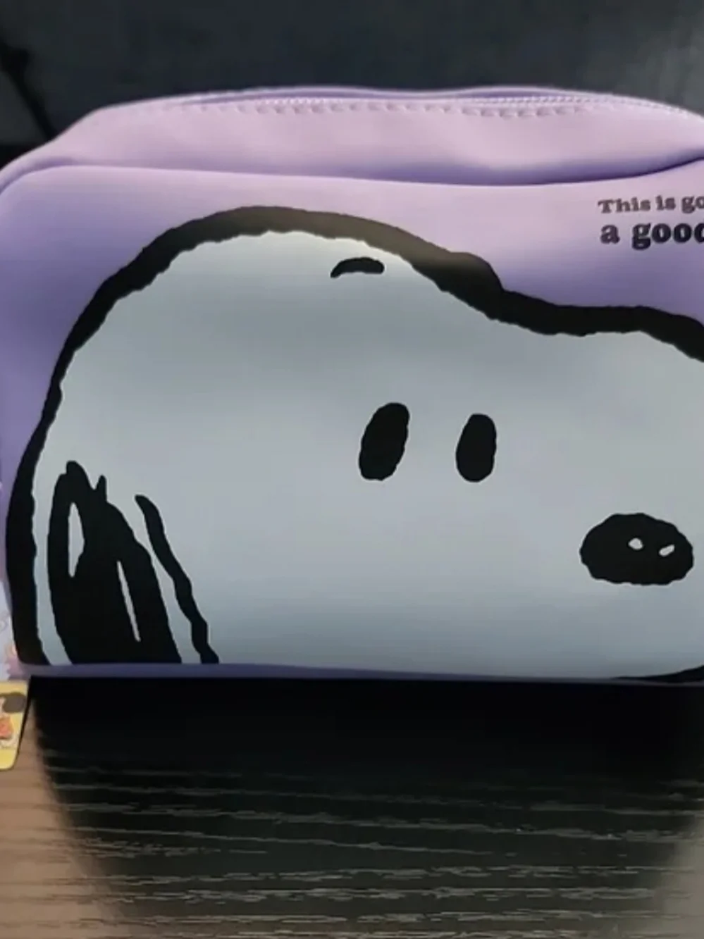 Snoopy Cosmetic Bag Peanuts Pouch Travel Organizer Cute Zipper Toiletry Bag Gift